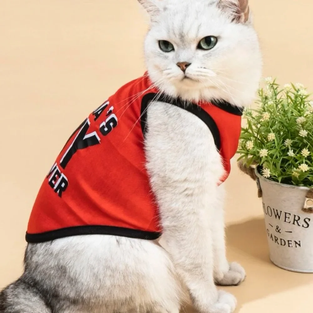 Letter graphic pet tank‎